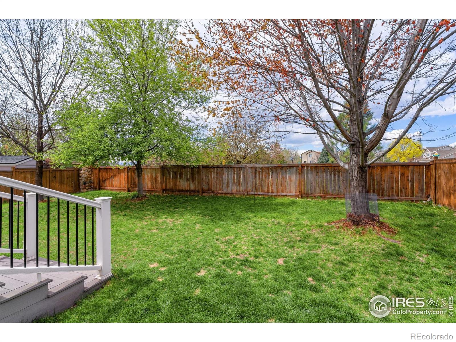 MLS Image #31 for 6309  carmichael street,fort collins, Colorado
