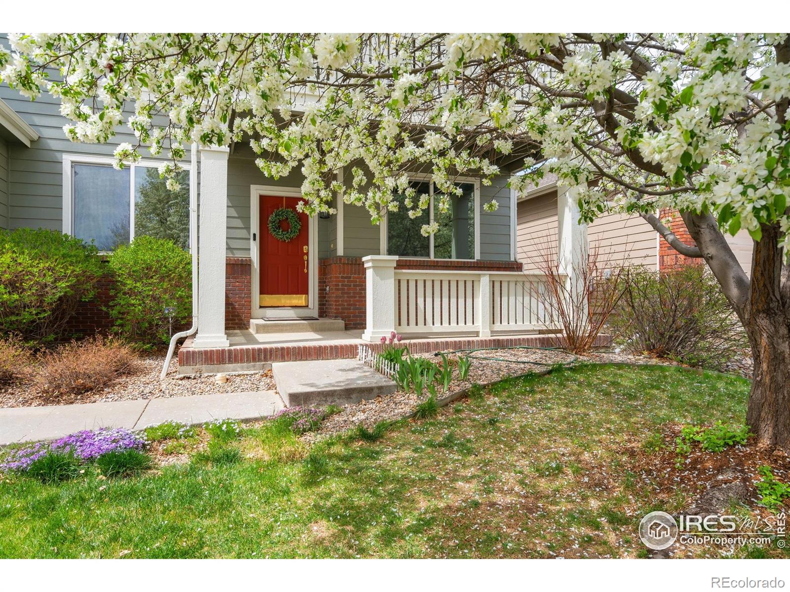 MLS Image #32 for 6309  carmichael street,fort collins, Colorado