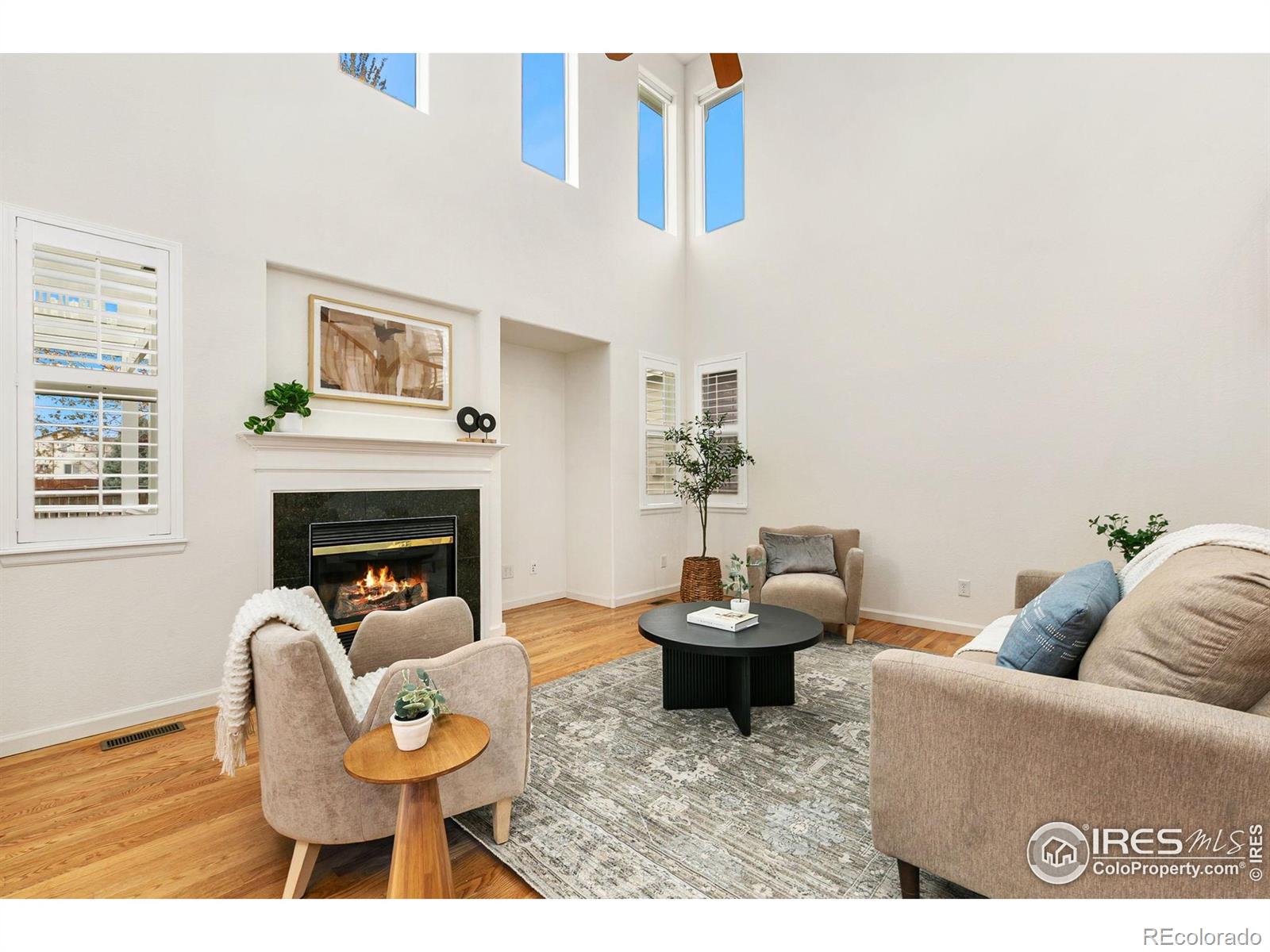 MLS Image #7 for 6309  carmichael street,fort collins, Colorado