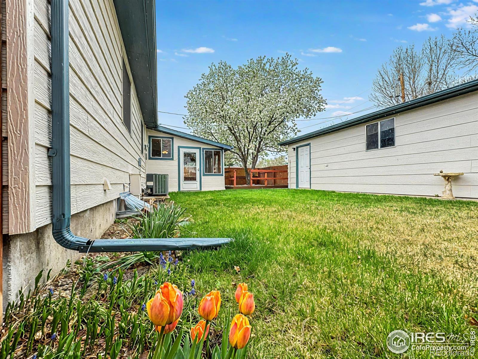 MLS Image #33 for 811  karen street,fort morgan, Colorado