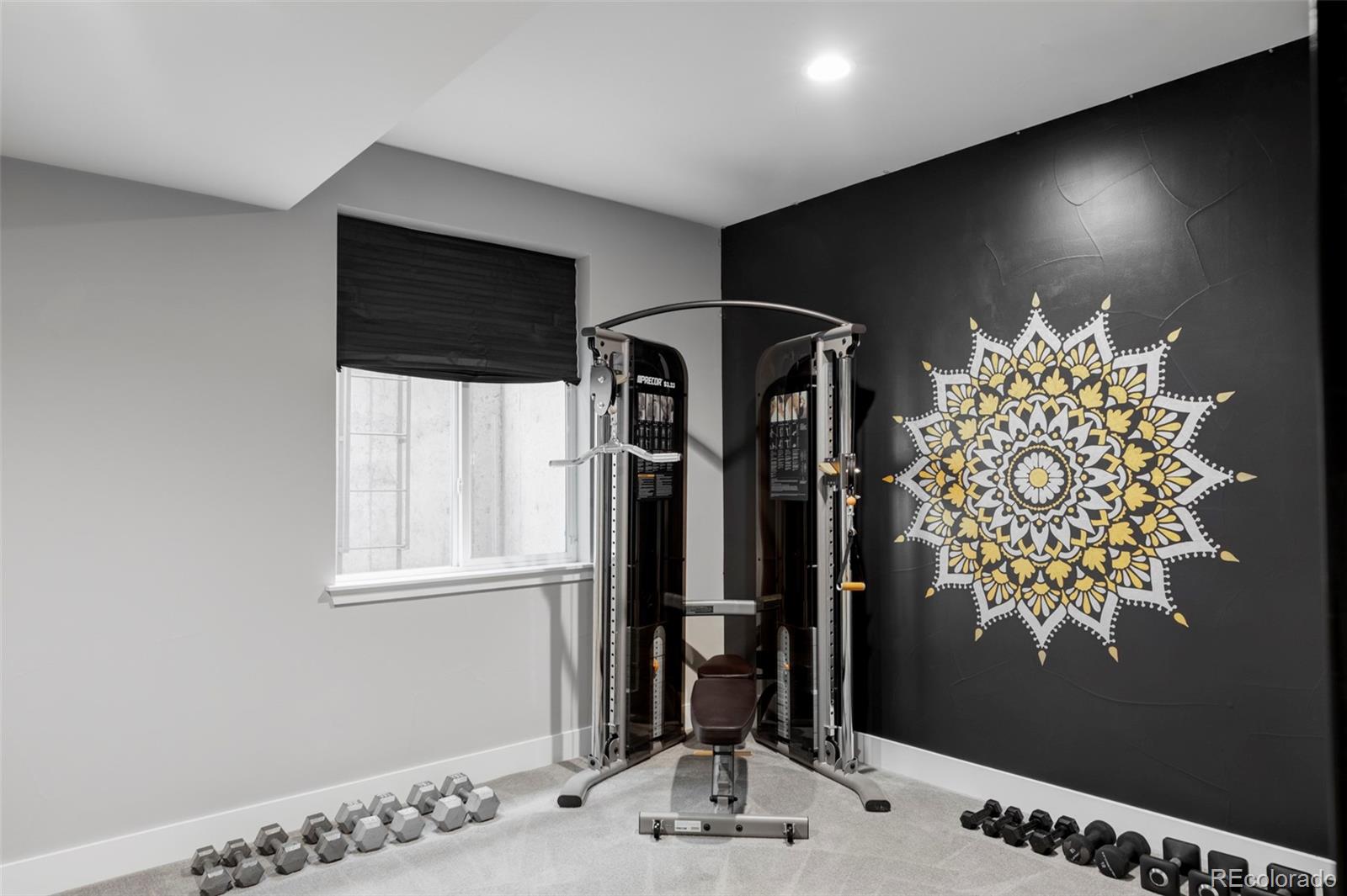 MLS Image #24 for 9388 e 59th place,denver, Colorado