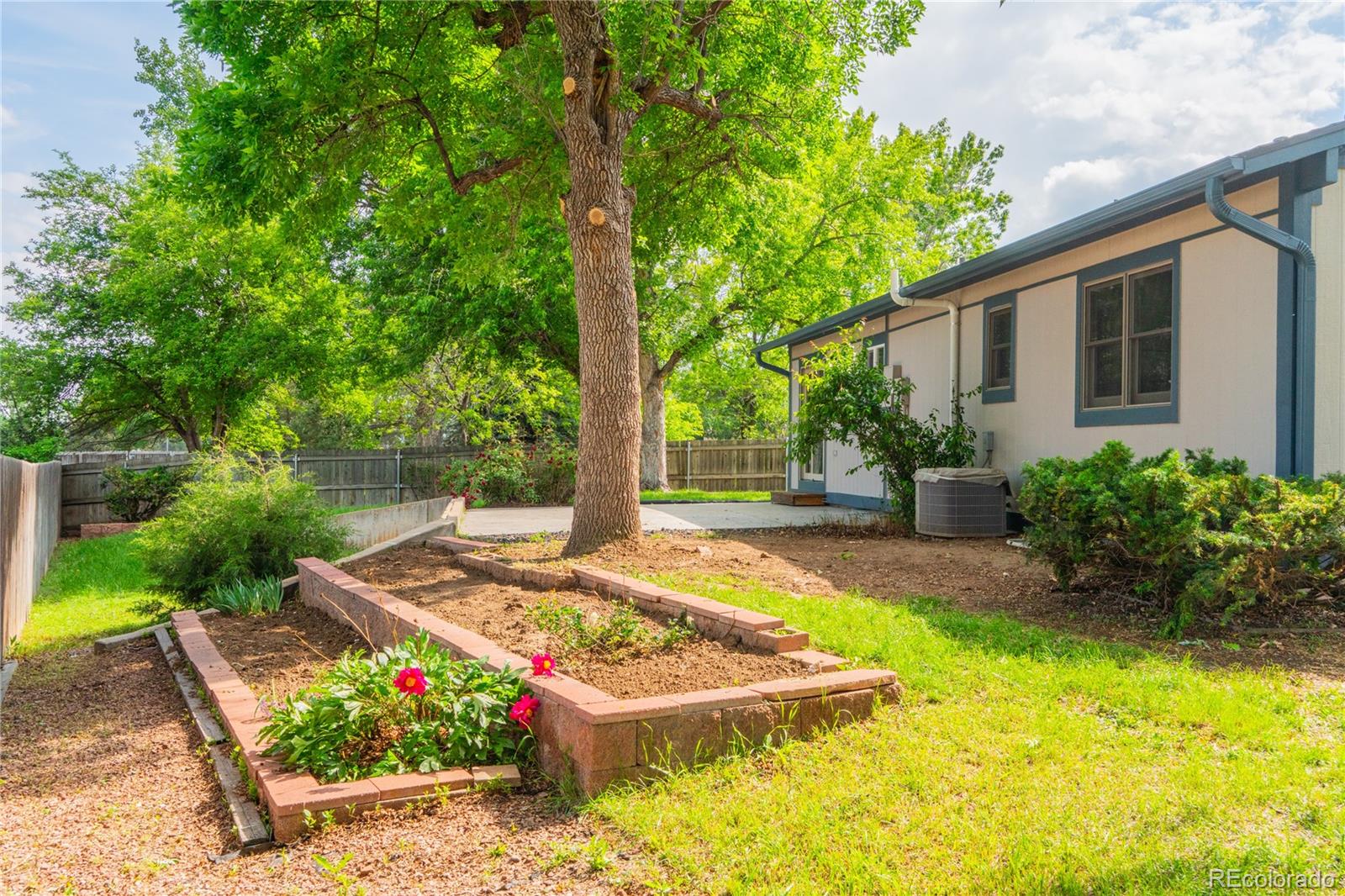 MLS Image #34 for 1248  ilium drive,lafayette, Colorado
