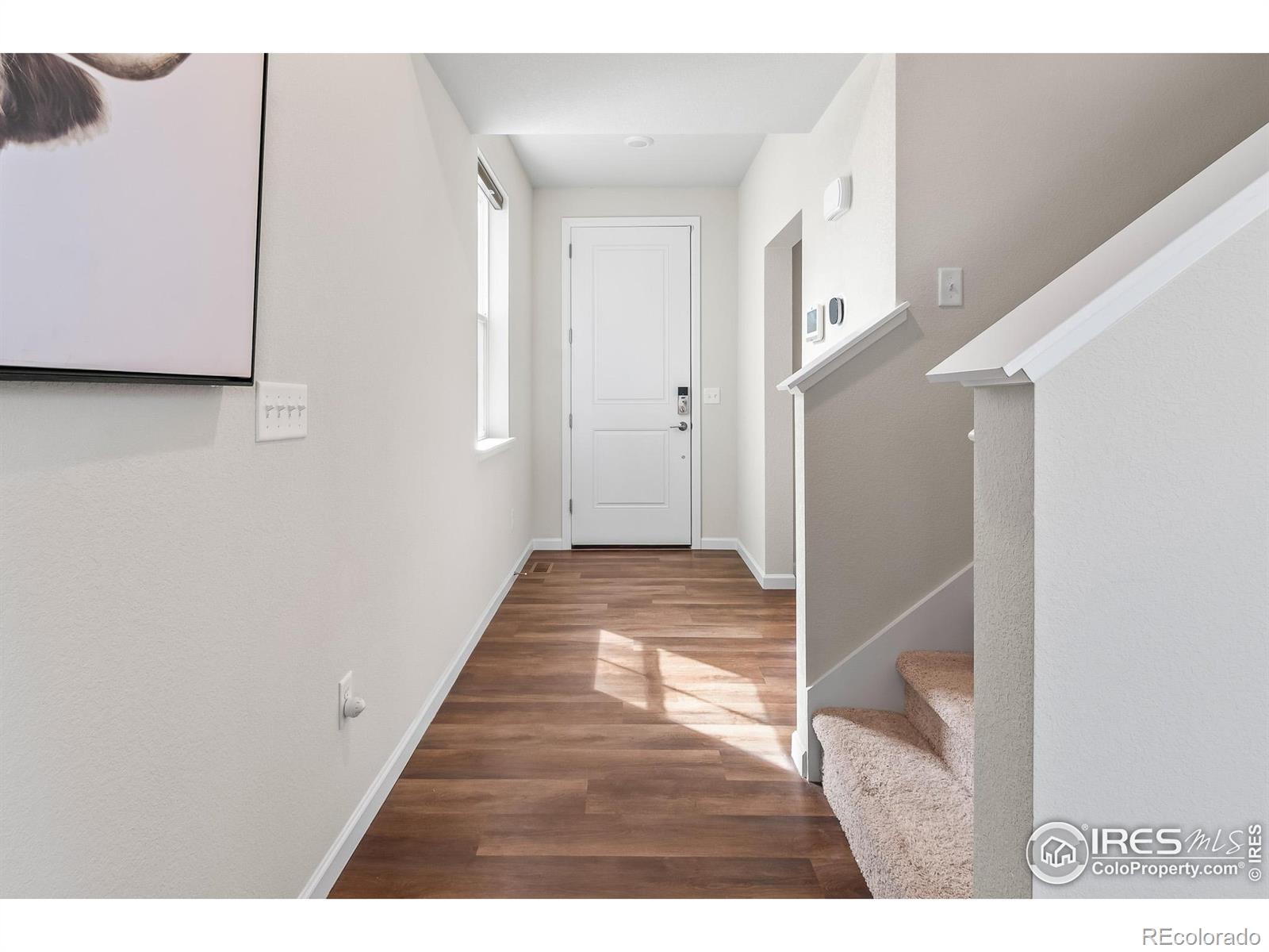 MLS Image #4 for 5881  red barn avenue,mead, Colorado