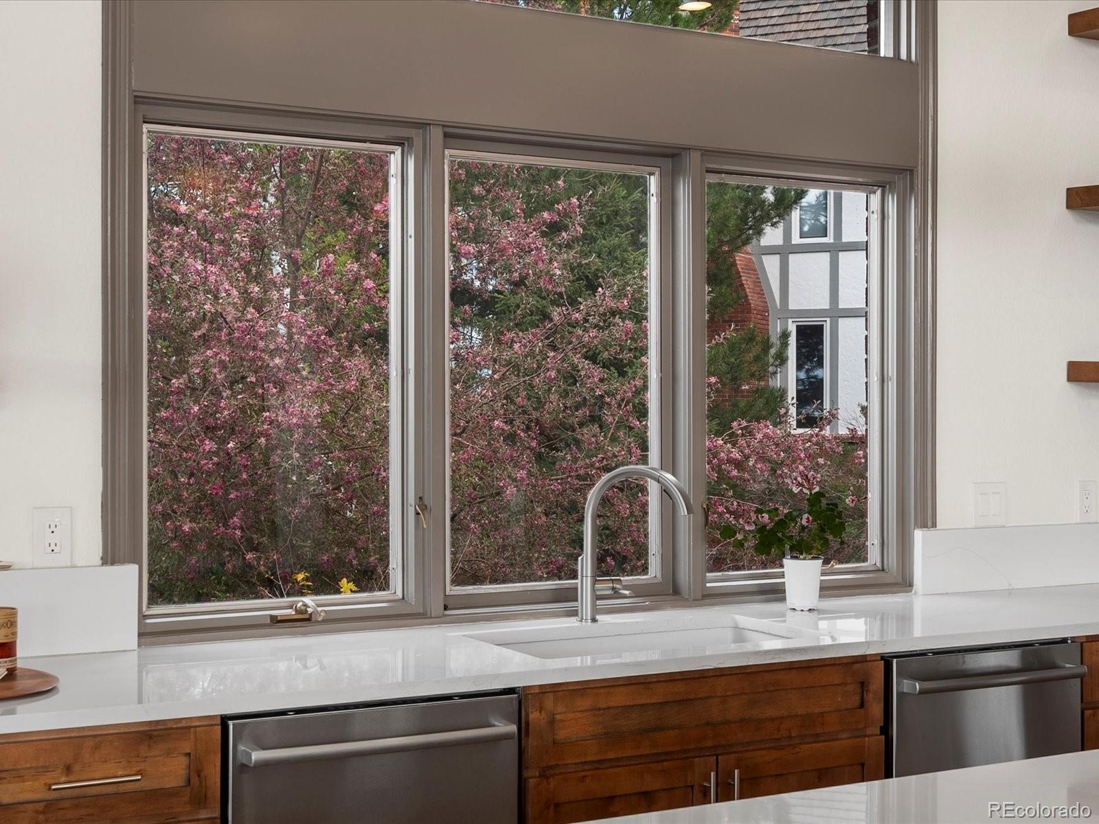 MLS Image #11 for 43  falcon hills drive,highlands ranch, Colorado