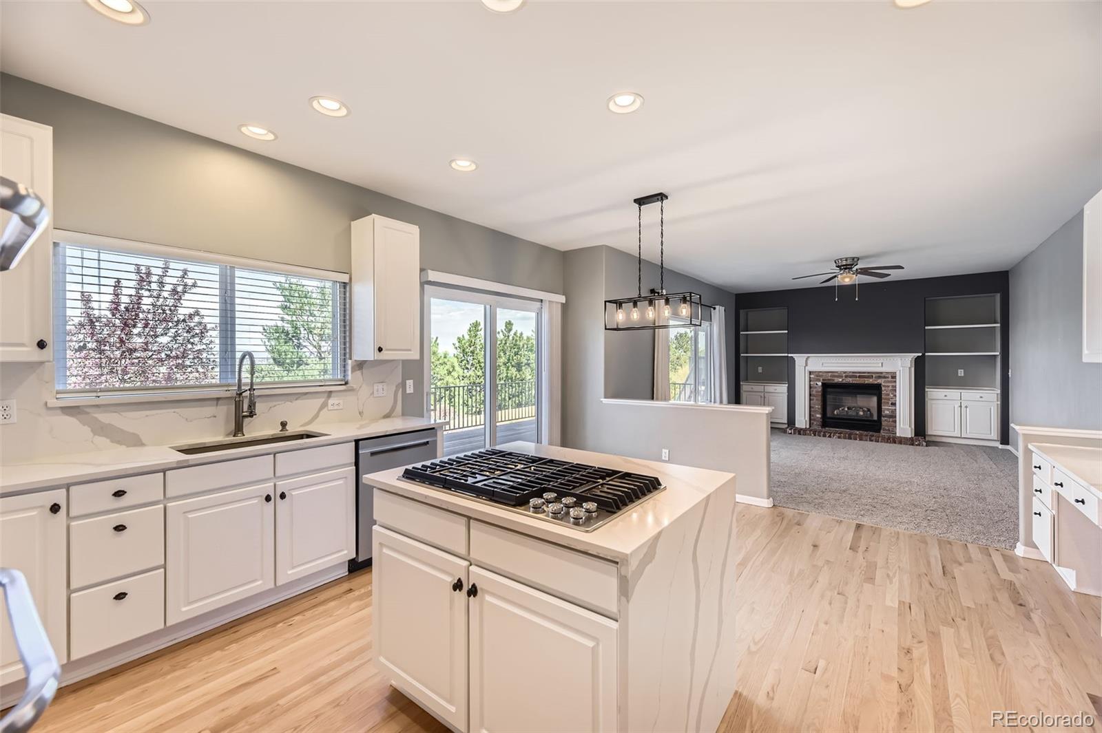 MLS Image #6 for 11715  crow hill drive,parker, Colorado