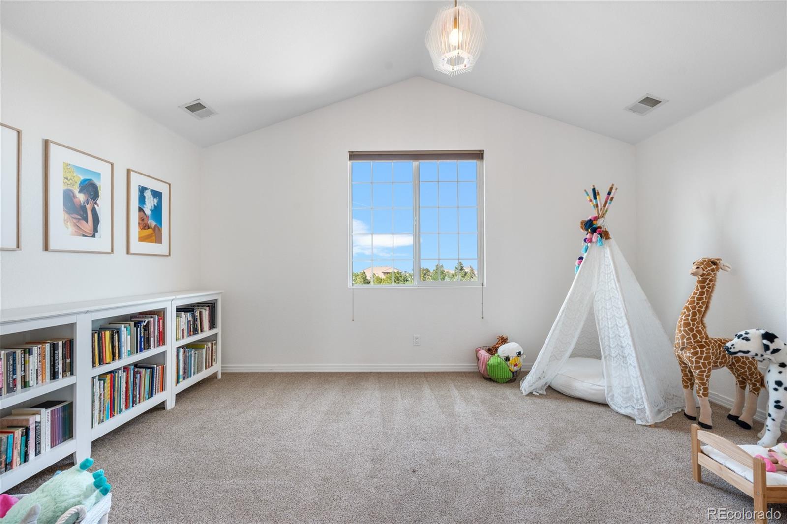 MLS Image #25 for 6635  tremolite drive,castle rock, Colorado