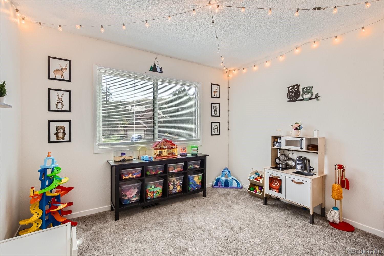 MLS Image #15 for 187 w prestwick court,castle rock, Colorado