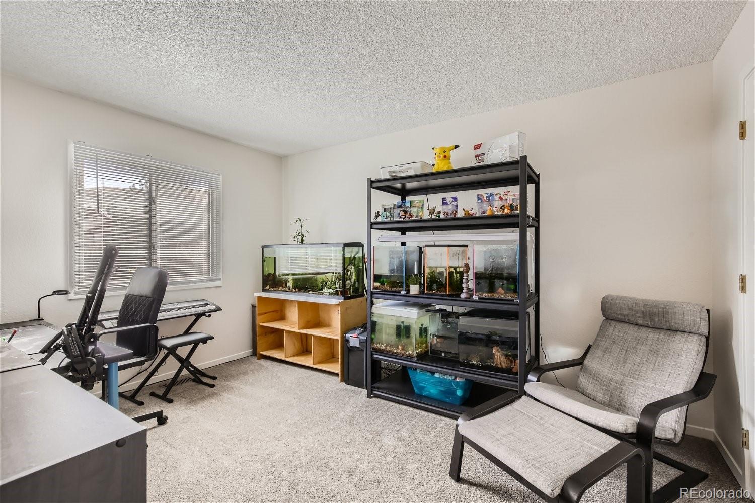 MLS Image #16 for 187 w prestwick court,castle rock, Colorado