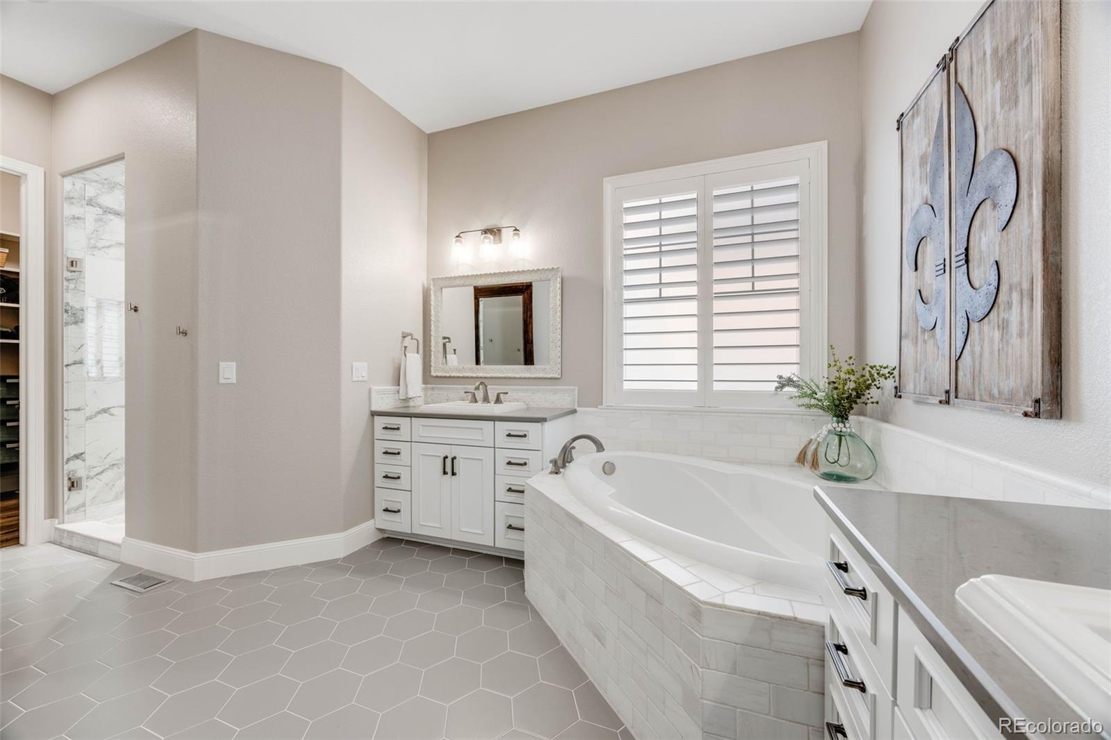 MLS Image #19 for 360  basilwood way,highlands ranch, Colorado