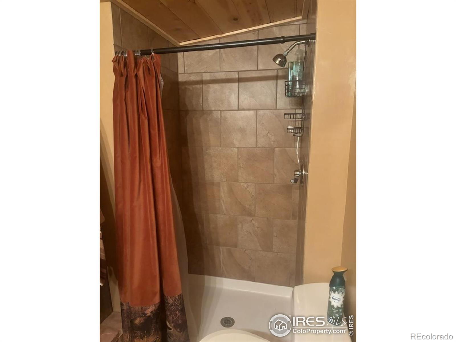 MLS Image #16 for 31601  poudre canyon road,bellvue, Colorado