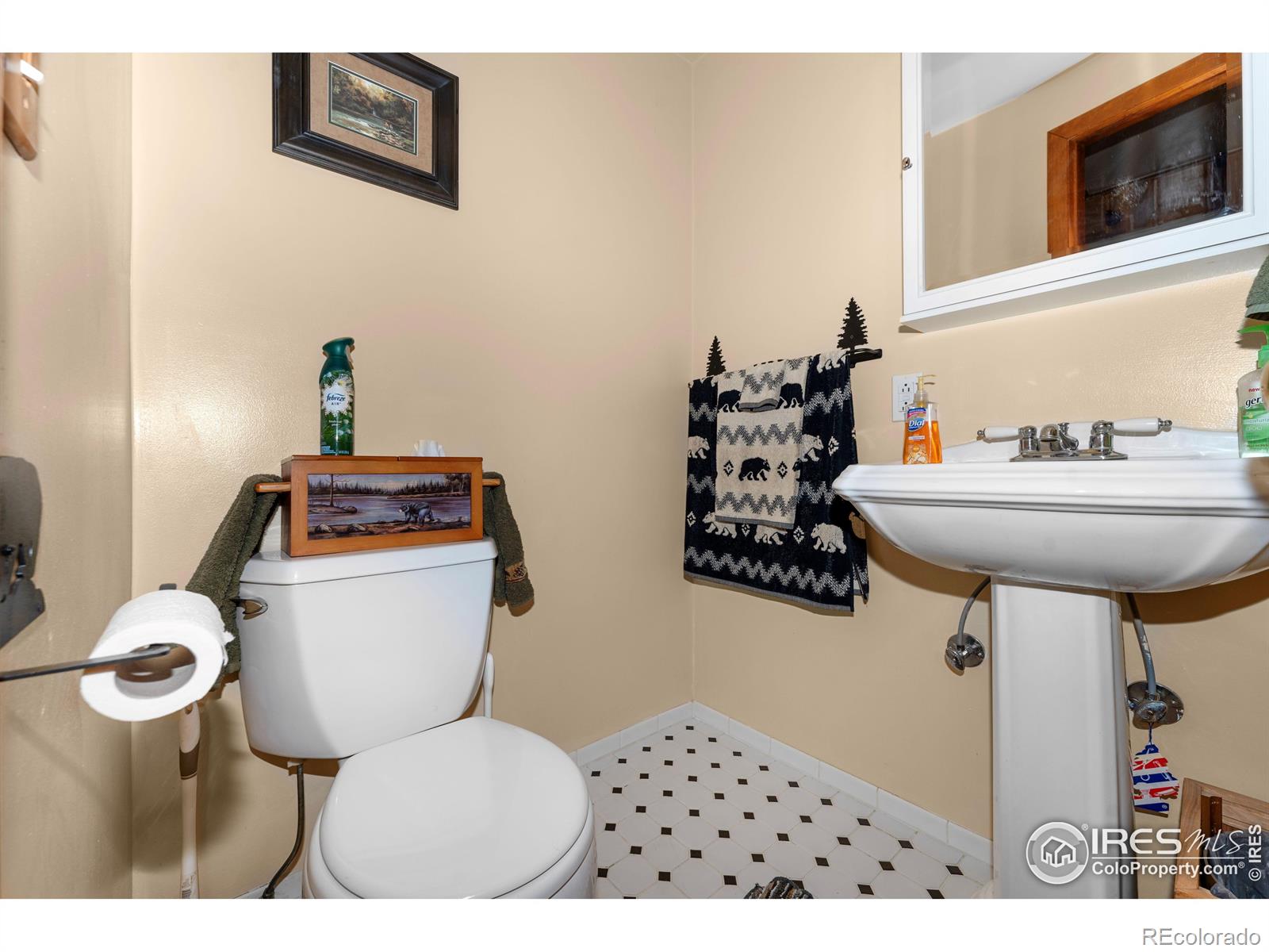 MLS Image #21 for 31601  poudre canyon road,bellvue, Colorado