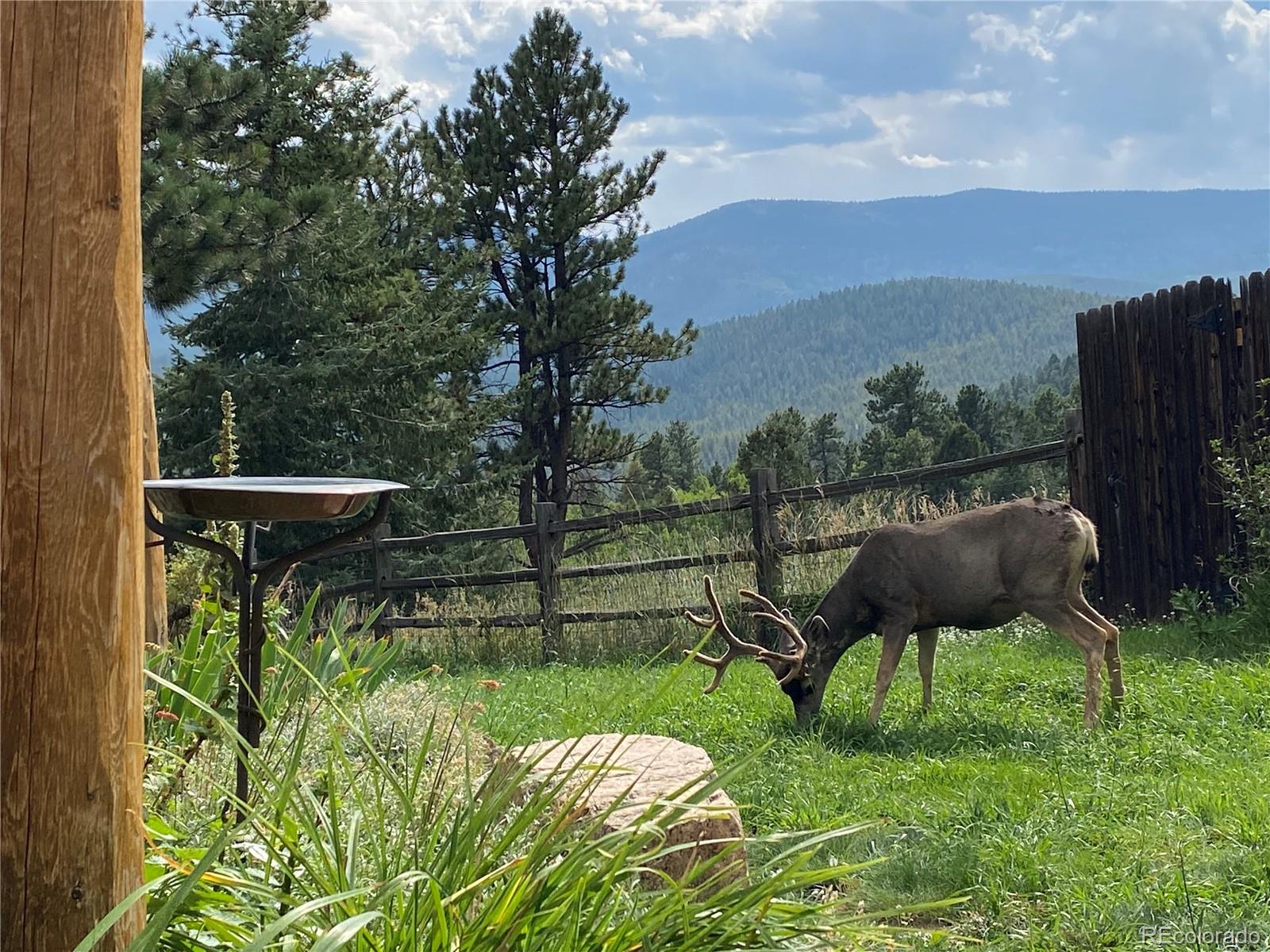 MLS Image #31 for 31755  ponderosa way,evergreen, Colorado