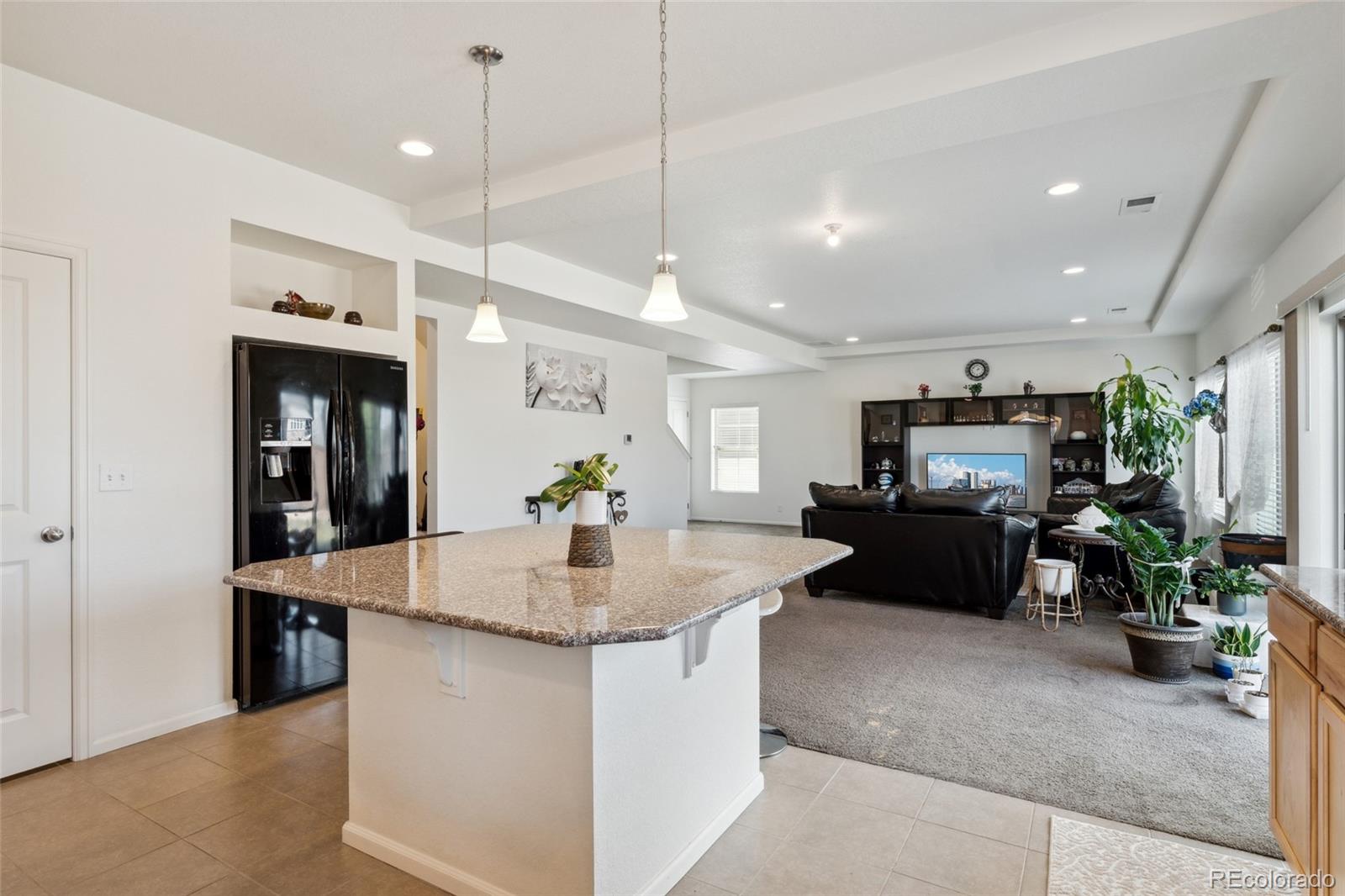 MLS Image #12 for 19047  randolph place,denver, Colorado