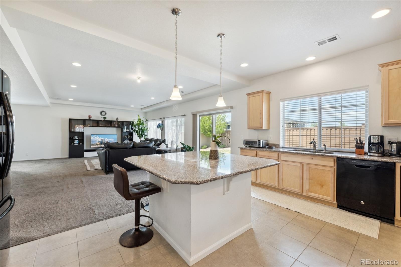 MLS Image #14 for 19047  randolph place,denver, Colorado
