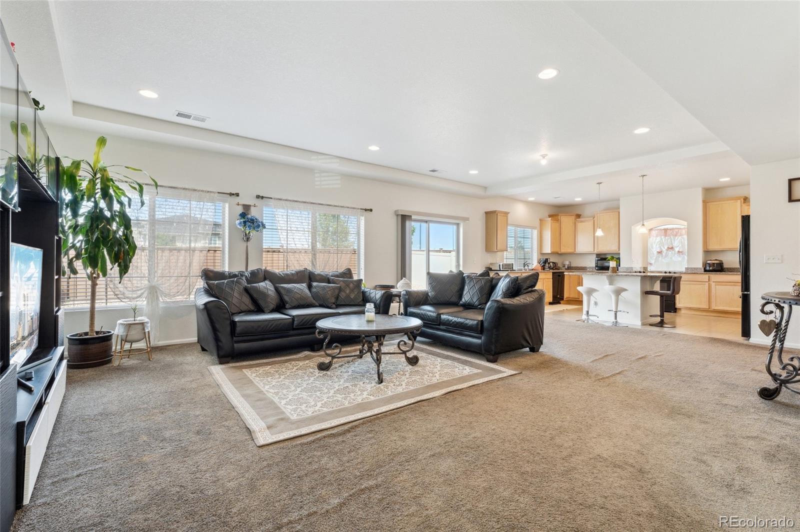 MLS Image #6 for 19047  randolph place,denver, Colorado