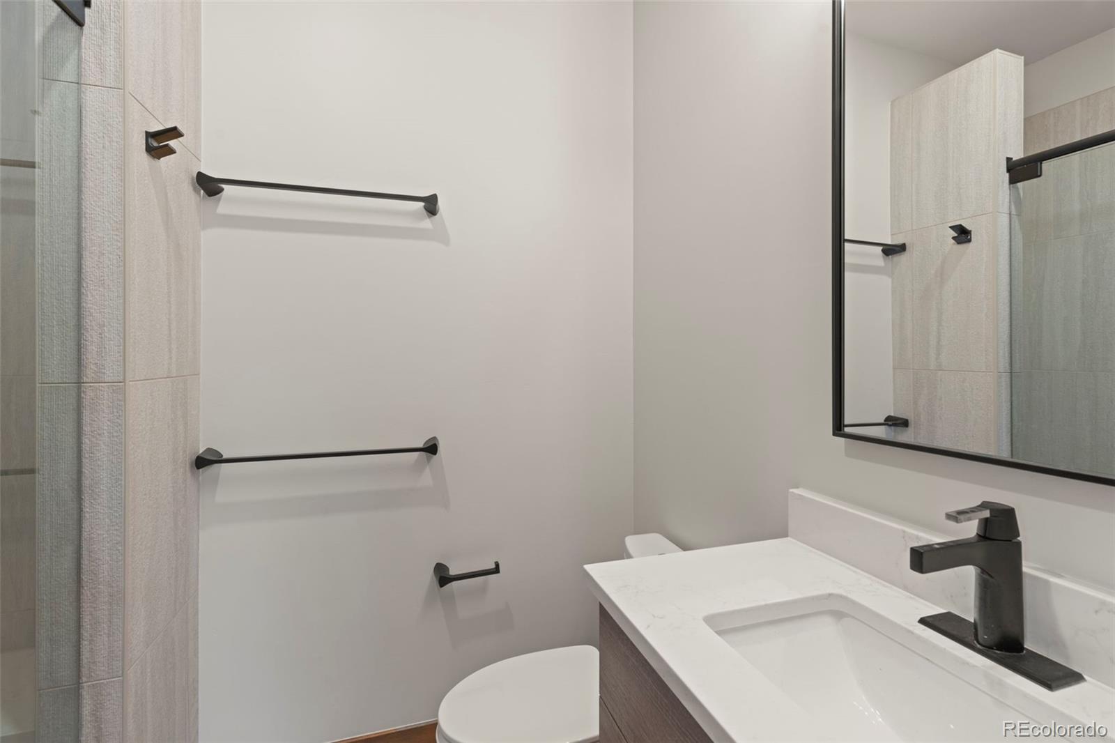 MLS Image #21 for 307  galena street,frisco, Colorado