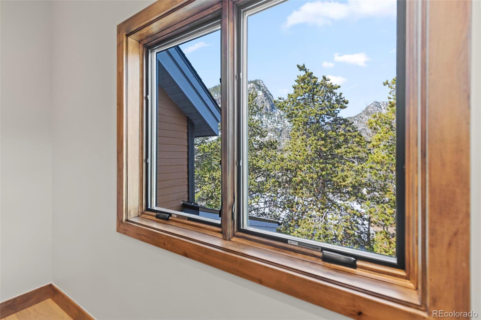 MLS Image #26 for 307  galena street,frisco, Colorado