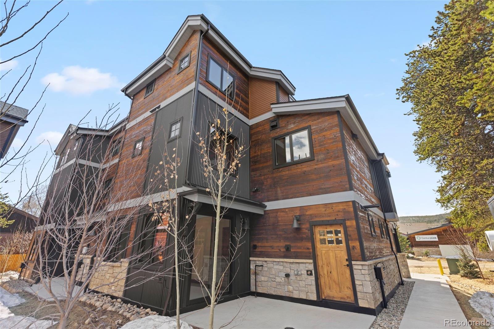 MLS Image #38 for 307  galena street,frisco, Colorado