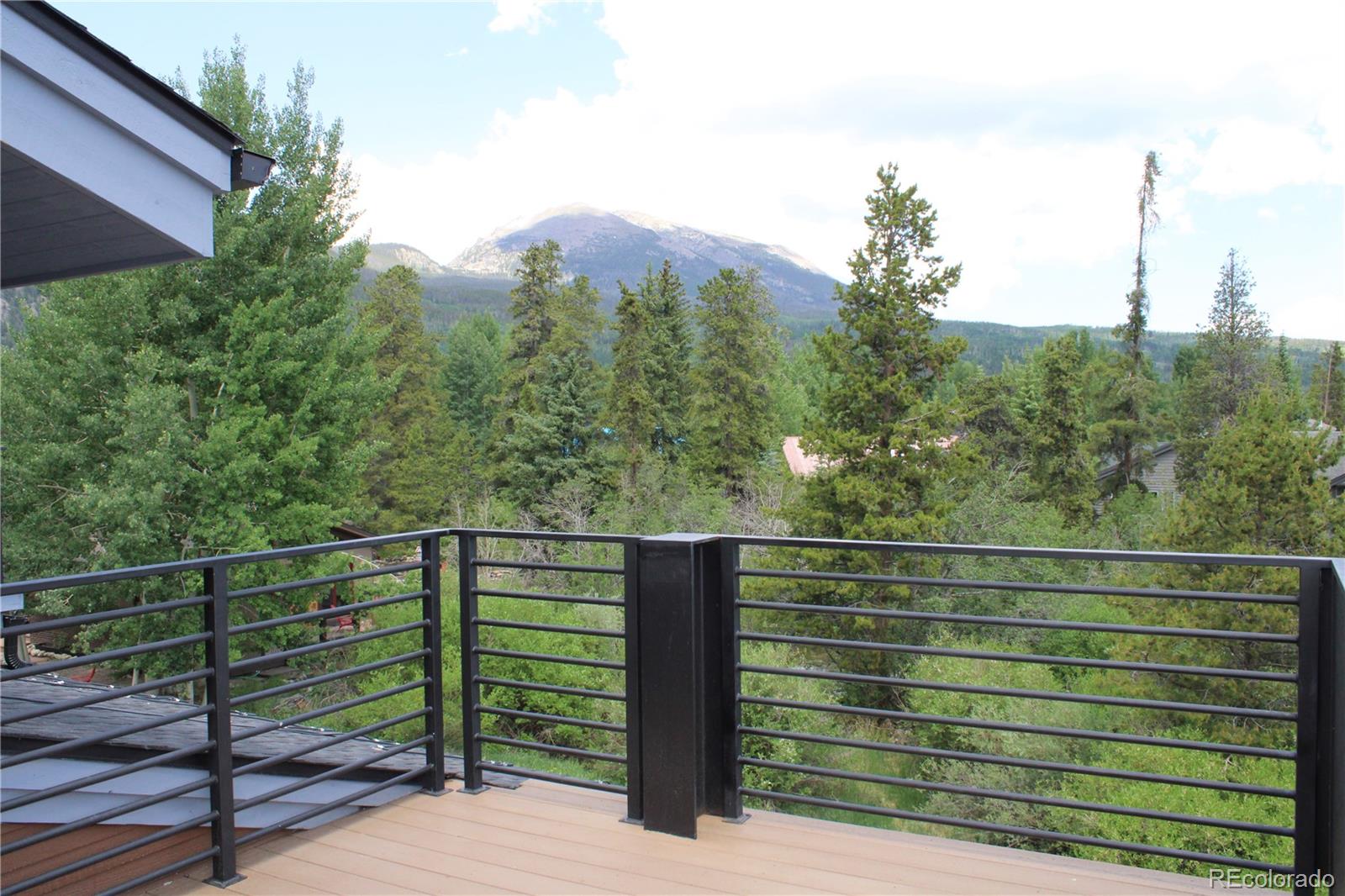 MLS Image #32 for 310  creekside aly ,frisco, Colorado