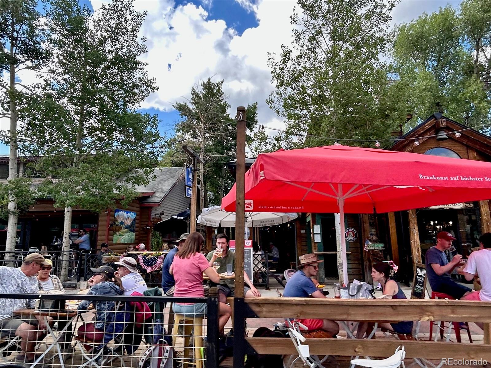 MLS Image #36 for 310  creekside aly ,frisco, Colorado
