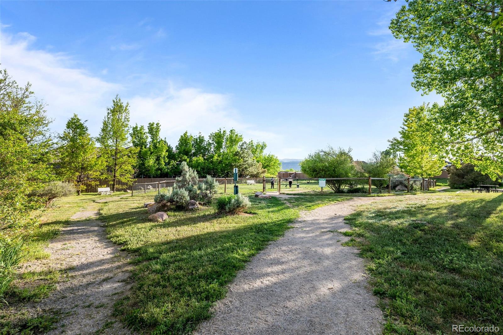 MLS Image #29 for 8422 s upham way,littleton, Colorado