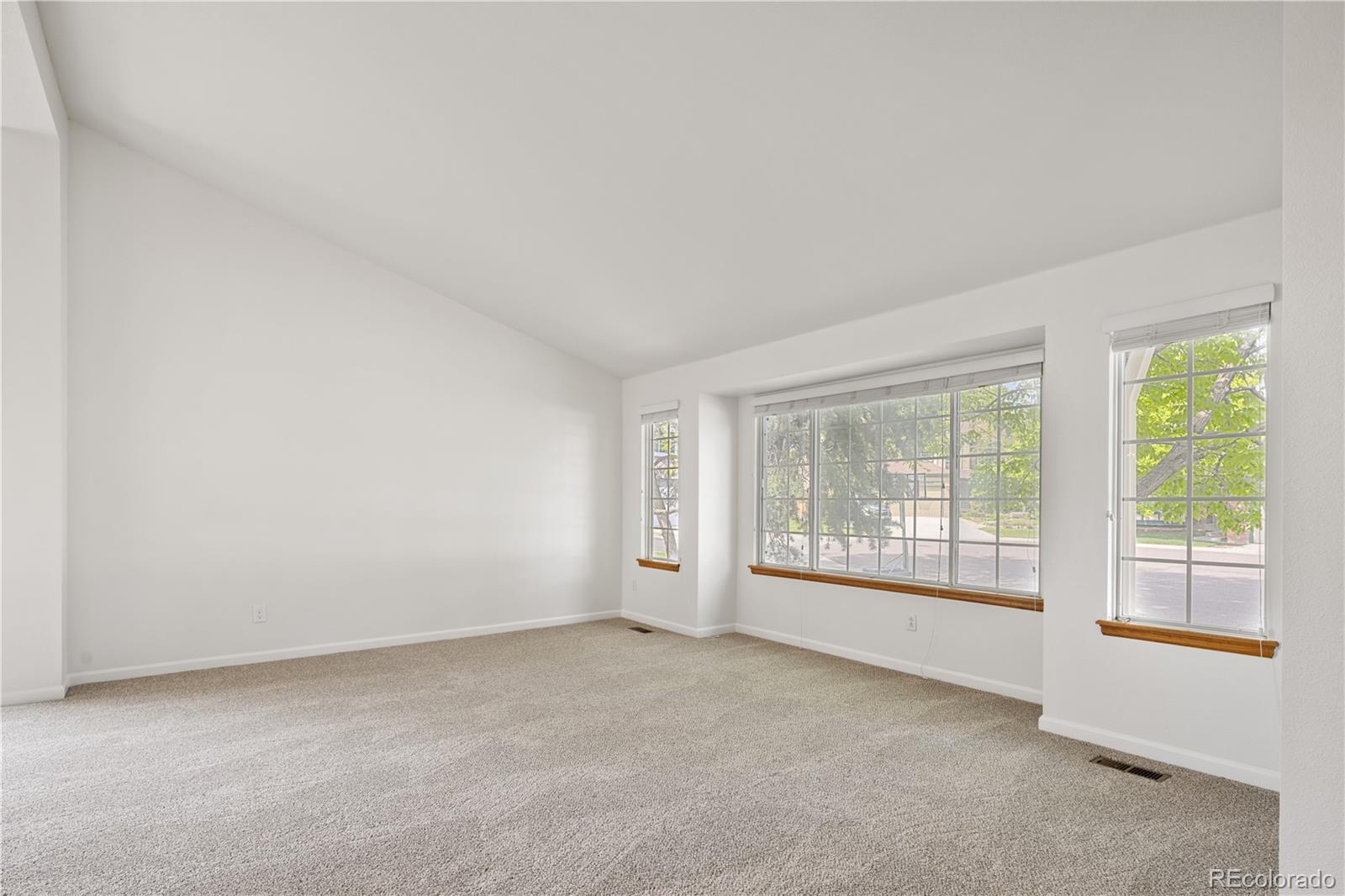 MLS Image #4 for 9174  lark sparrow place,highlands ranch, Colorado