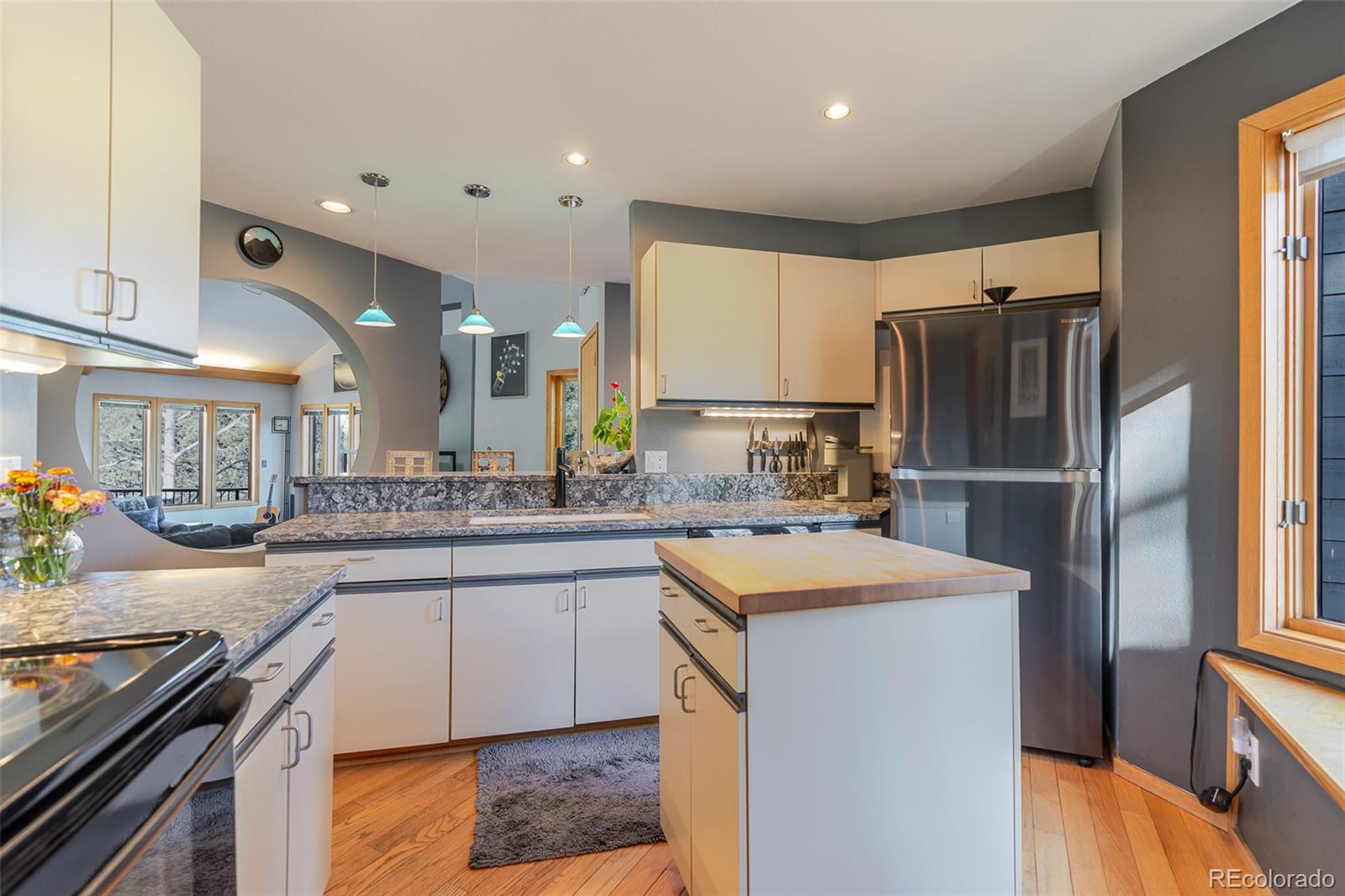 MLS Image #13 for 1375  nova road,pine, Colorado