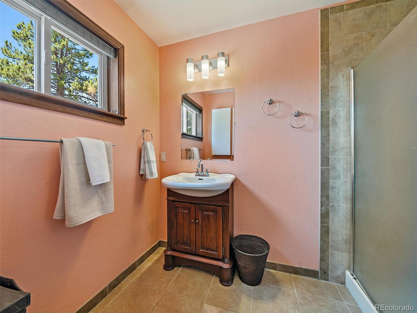 MLS Image #15 for 10852  conifer mountain road,conifer, Colorado