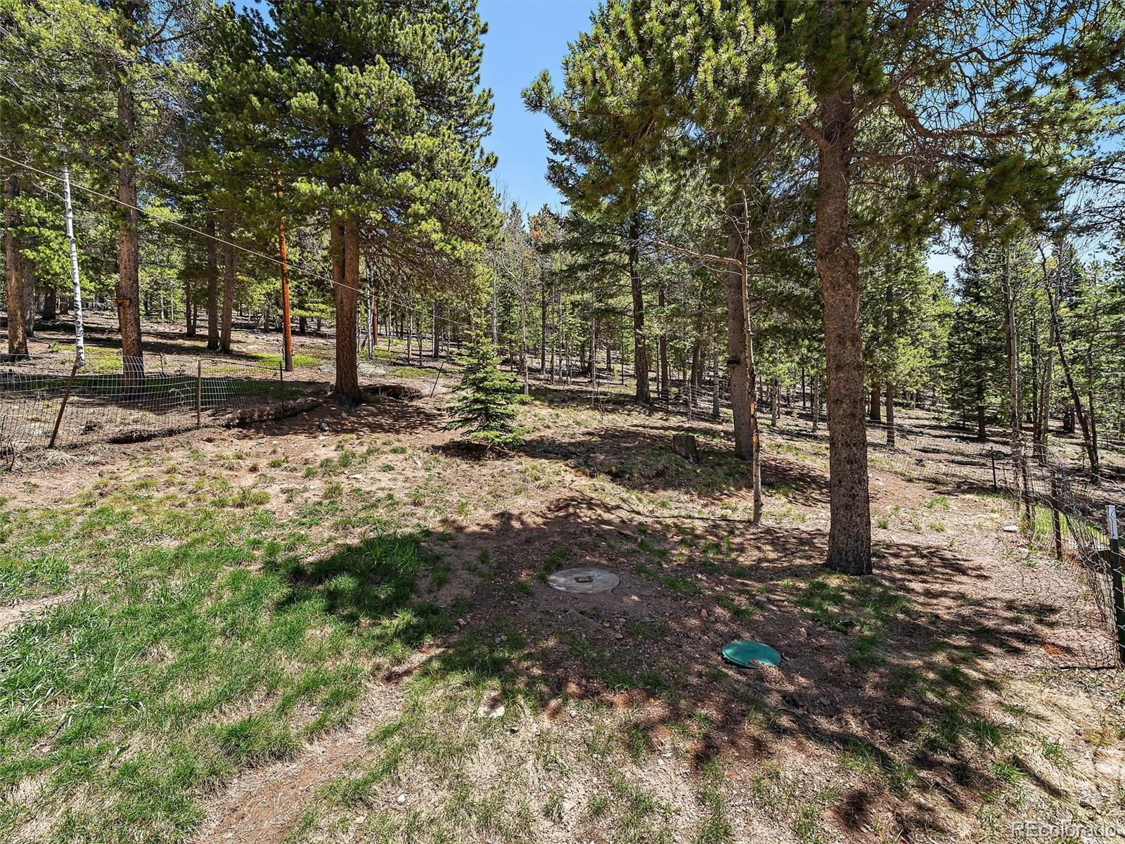 MLS Image #28 for 10852  conifer mountain road,conifer, Colorado