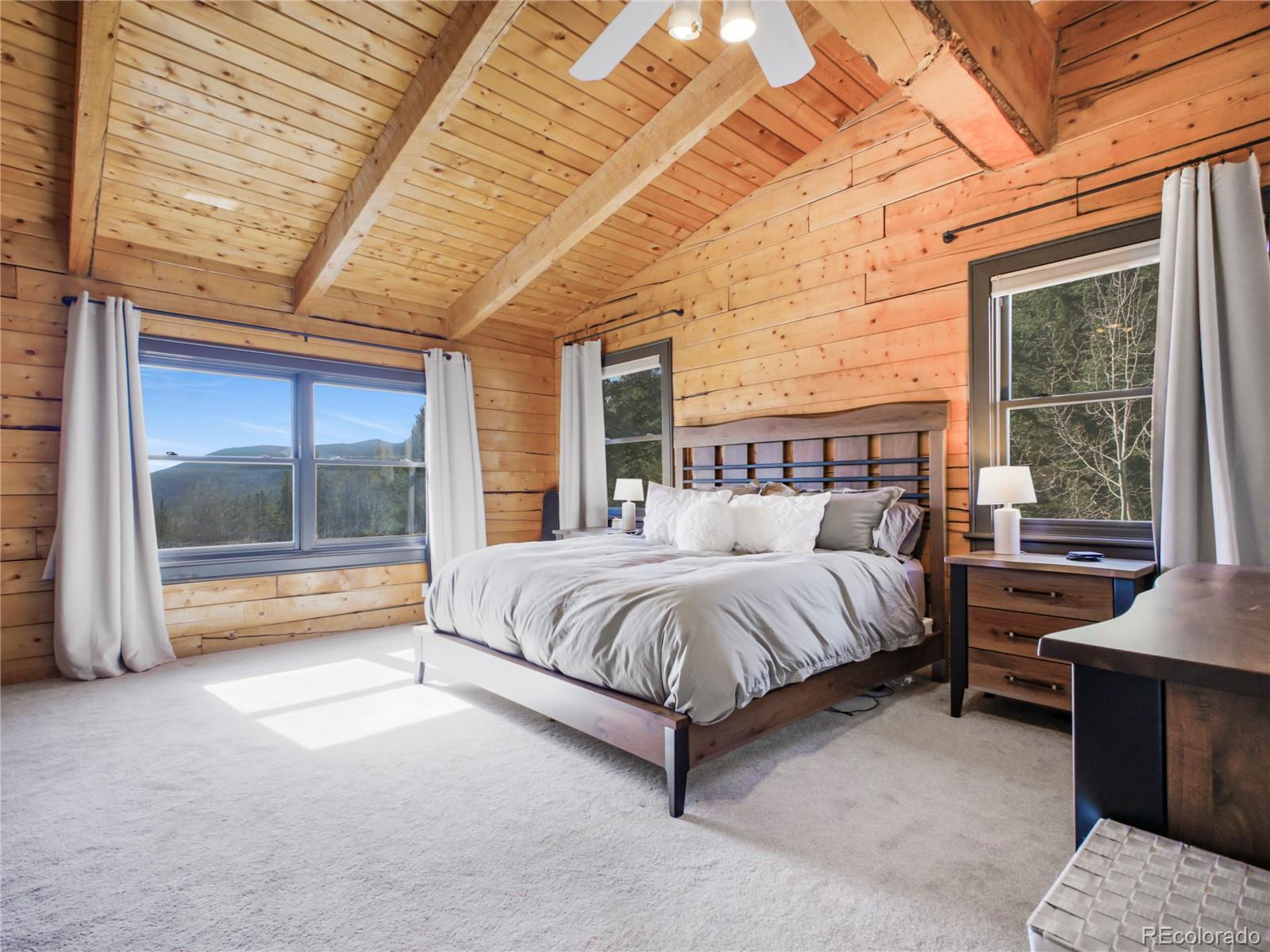 MLS Image #12 for 24  pine valley road,evergreen, Colorado