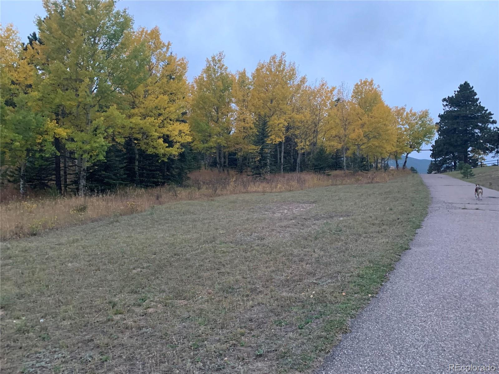 MLS Image #32 for 24  pine valley road,evergreen, Colorado
