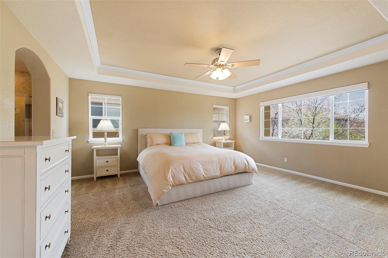 MLS Image #18 for 10633  wynspire way,highlands ranch, Colorado