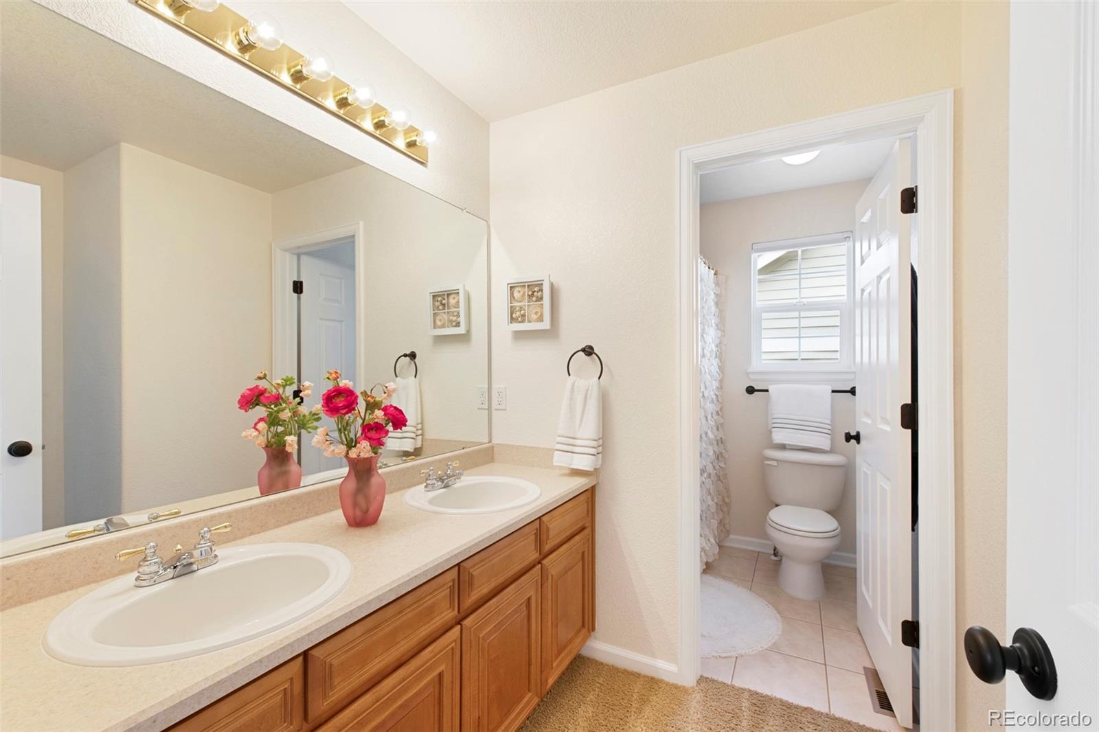 MLS Image #26 for 10633  wynspire way,highlands ranch, Colorado