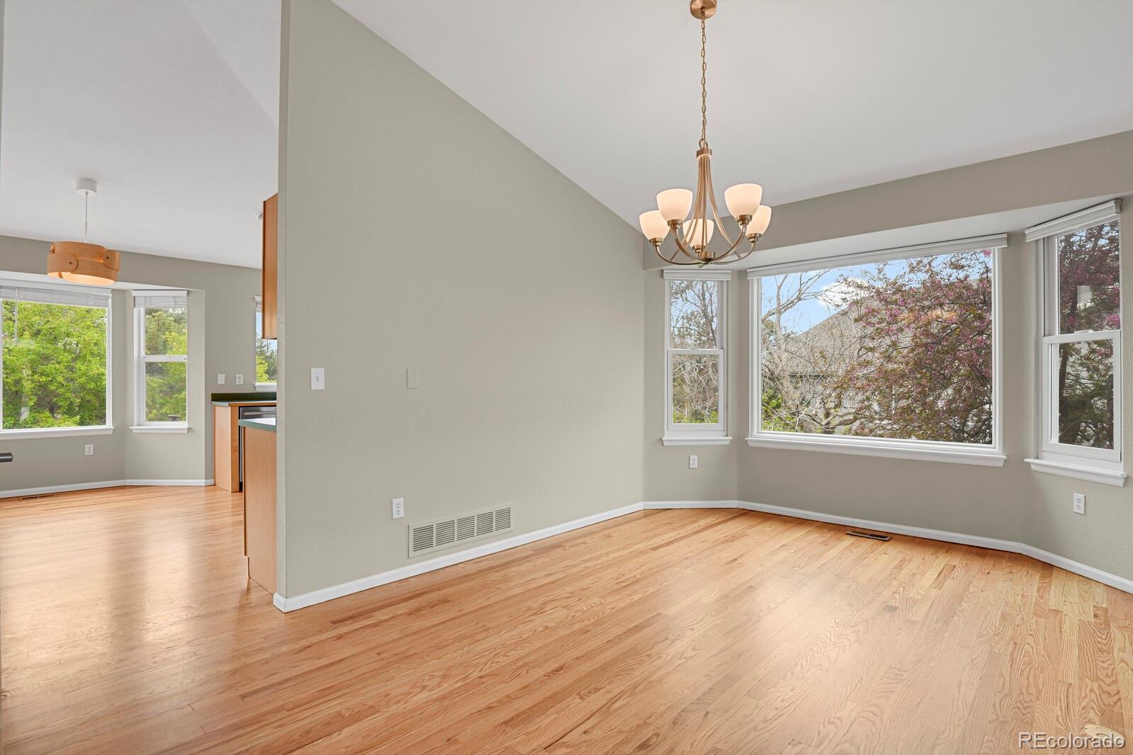 MLS Image #11 for 21684  swale avenue,parker, Colorado