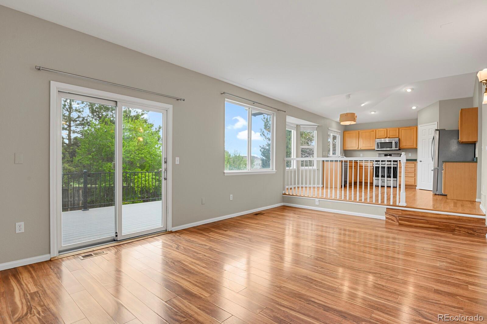 MLS Image #17 for 21684  swale avenue,parker, Colorado