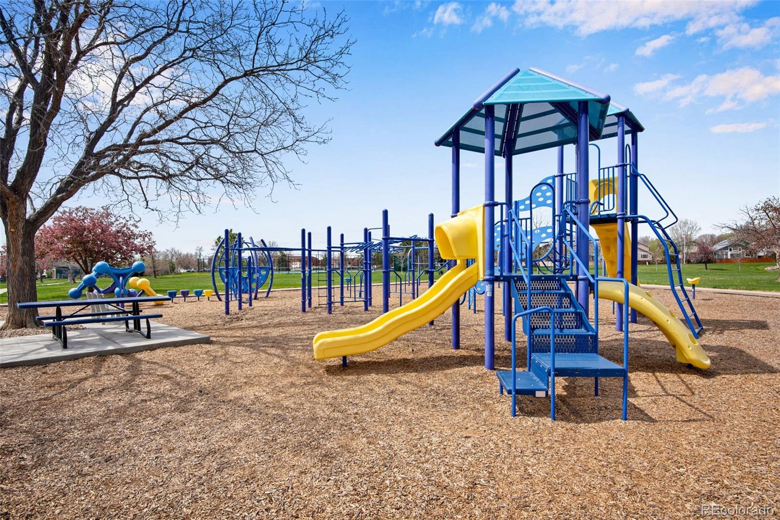 MLS Image #48 for 12535  forest view street,broomfield, Colorado