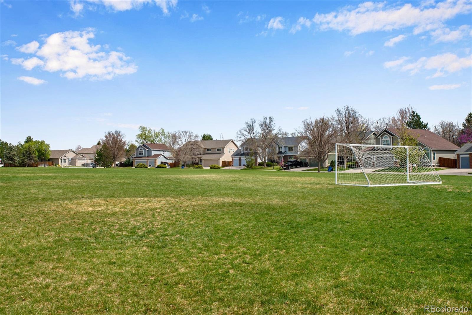 MLS Image #49 for 12535  forest view street,broomfield, Colorado