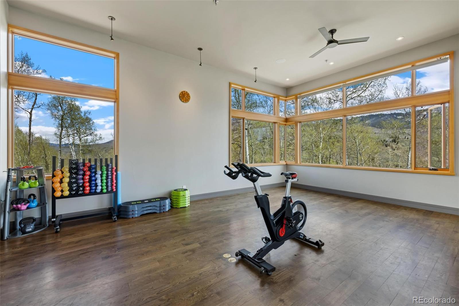 MLS Image #33 for 151  moss way,silverthorne, Colorado