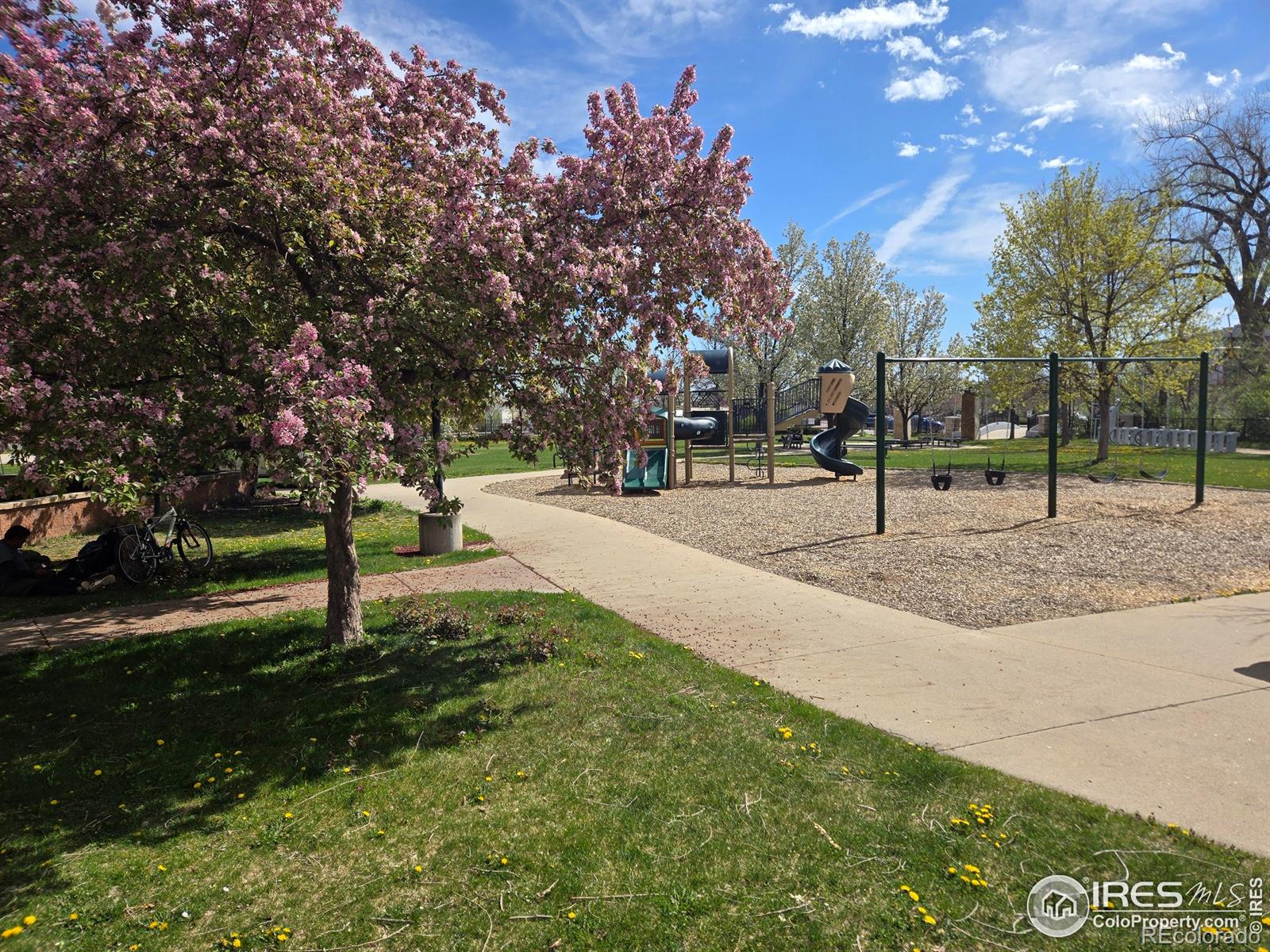 MLS Image #22 for 2336  spruce street,boulder, Colorado