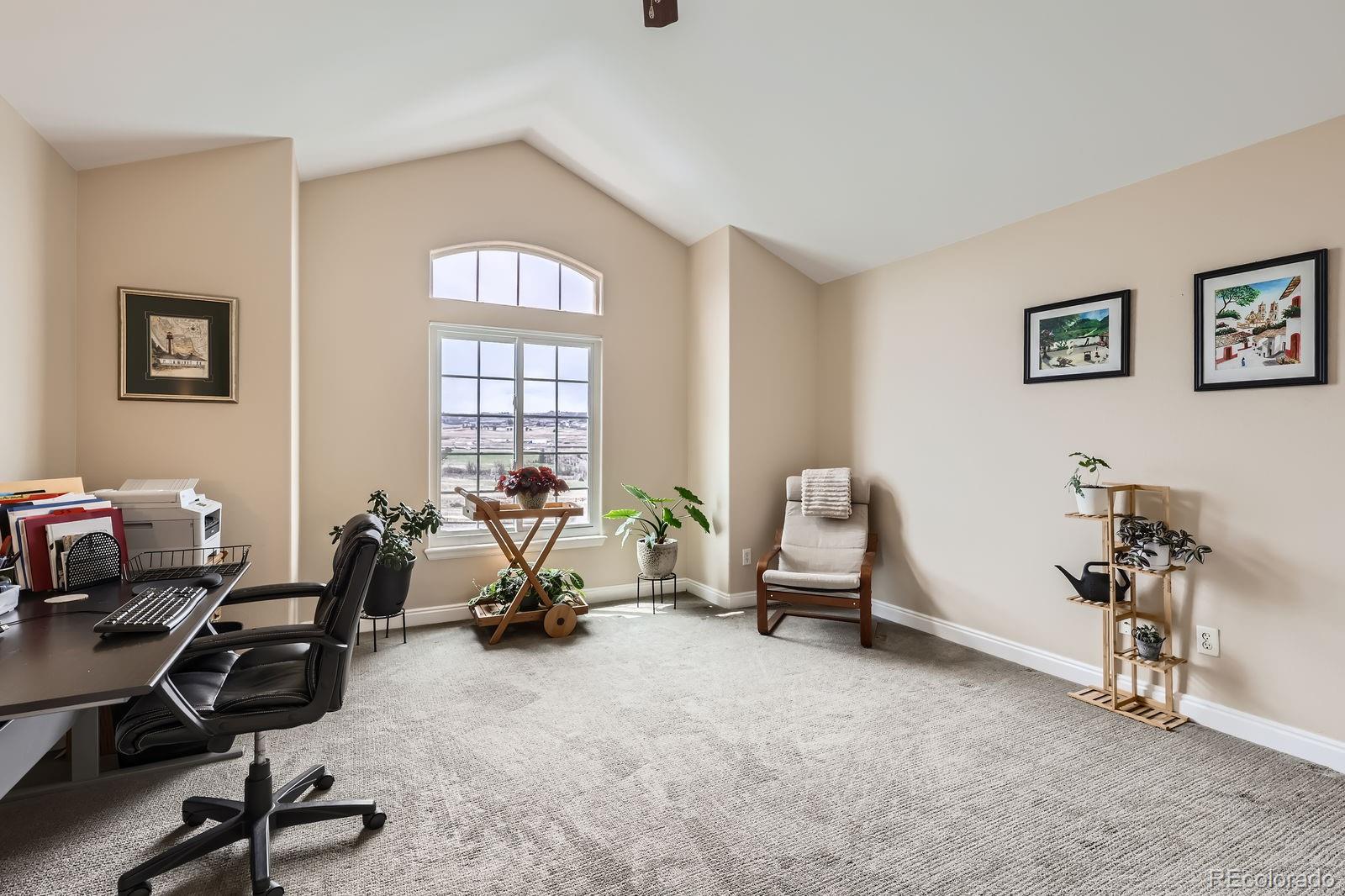 MLS Image #23 for 3109  newport circle,castle rock, Colorado