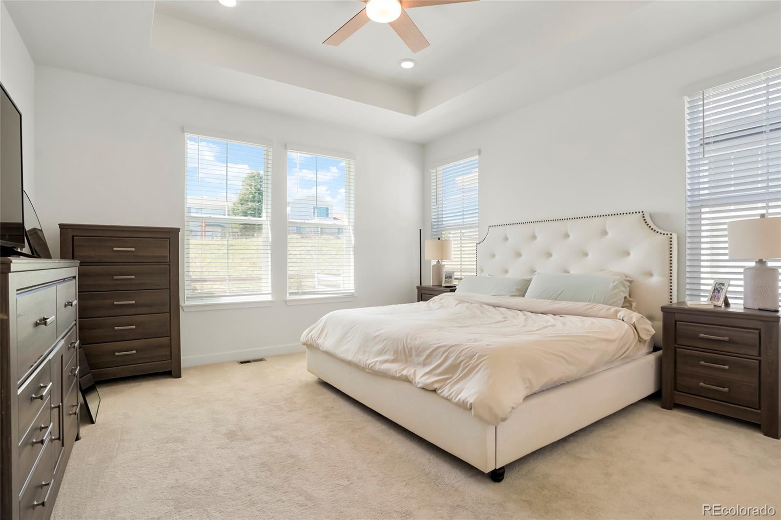 MLS Image #12 for 8052  mount kataka street,littleton, Colorado