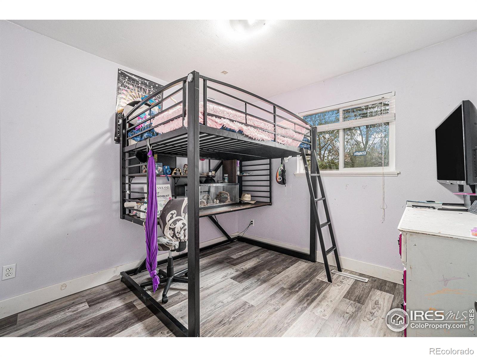 MLS Image #12 for 2112  arron drive,loveland, Colorado