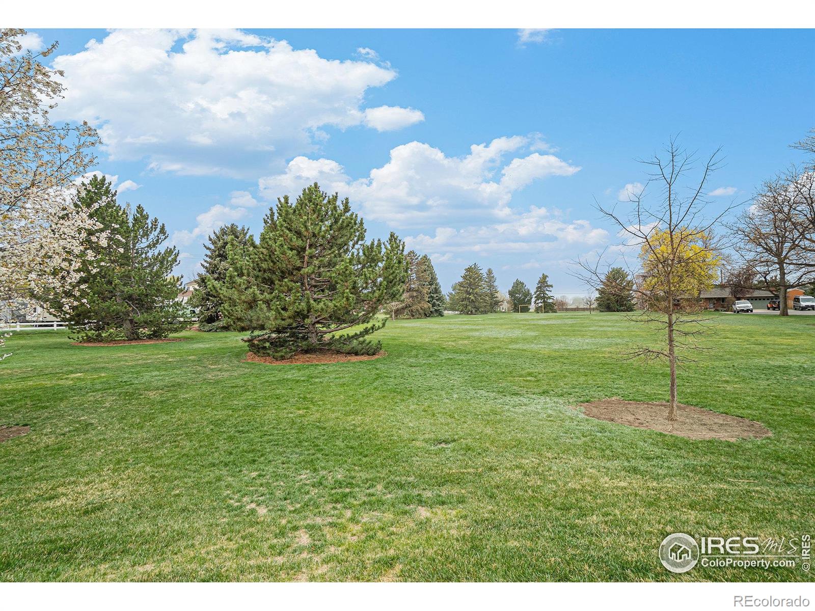 MLS Image #25 for 2112  arron drive,loveland, Colorado