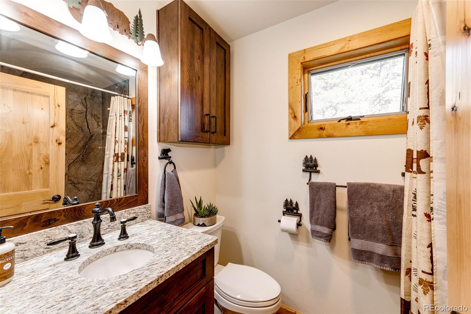 MLS Image #23 for 31266  half peak trail,pine, Colorado