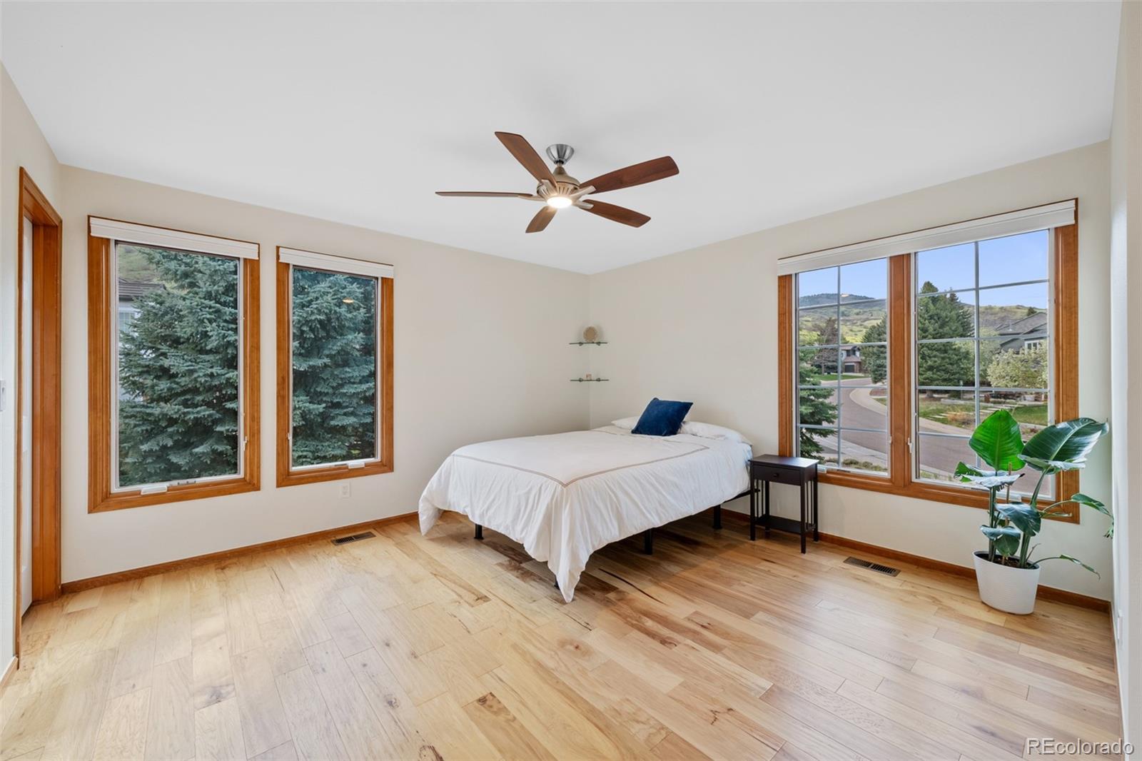MLS Image #21 for 87  deerwood drive,littleton, Colorado