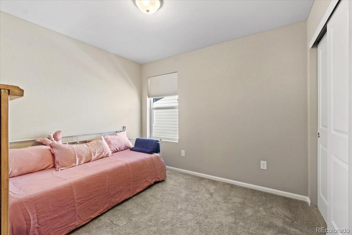 MLS Image #24 for 3011  low meadow boulevard,castle rock, Colorado