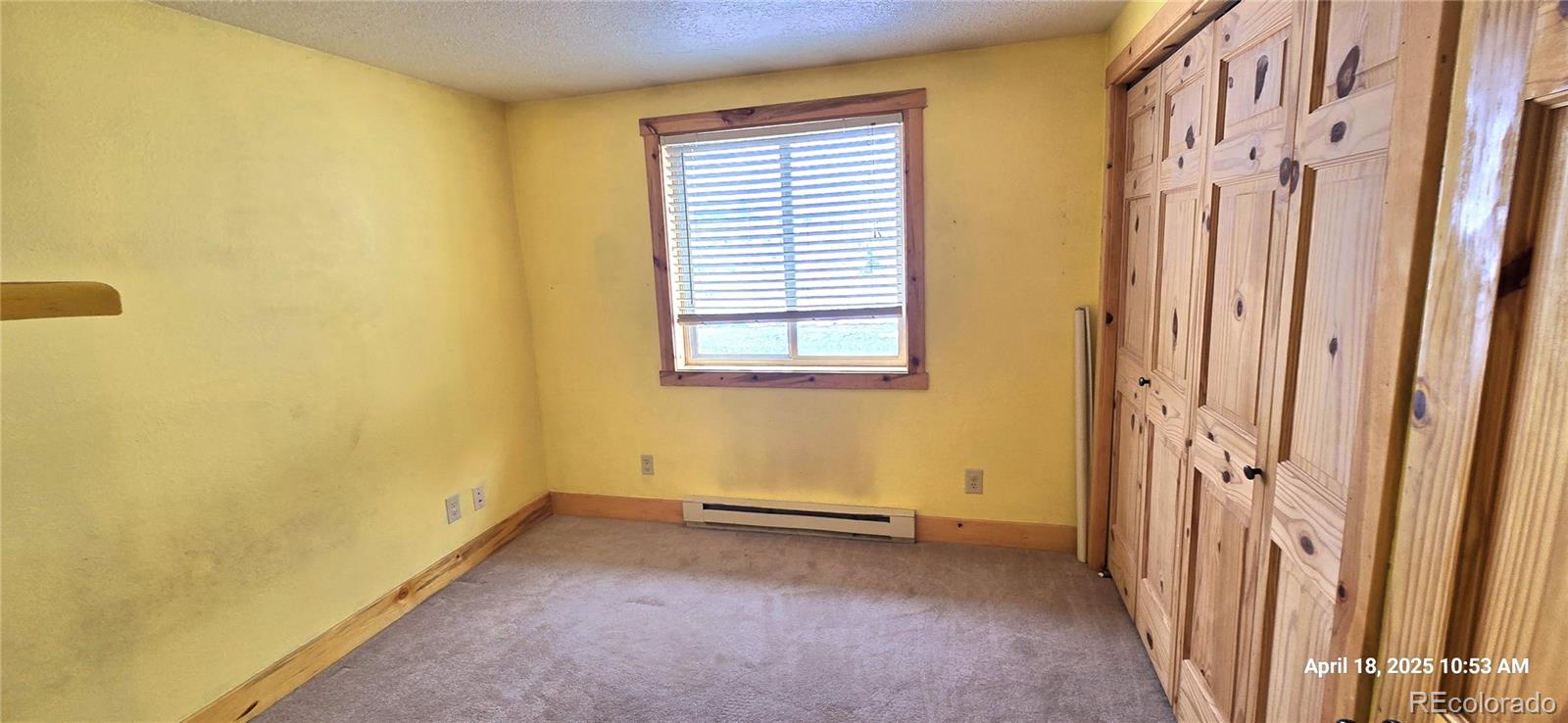 MLS Image #13 for 185  county road 1015 ,silverthorne, Colorado
