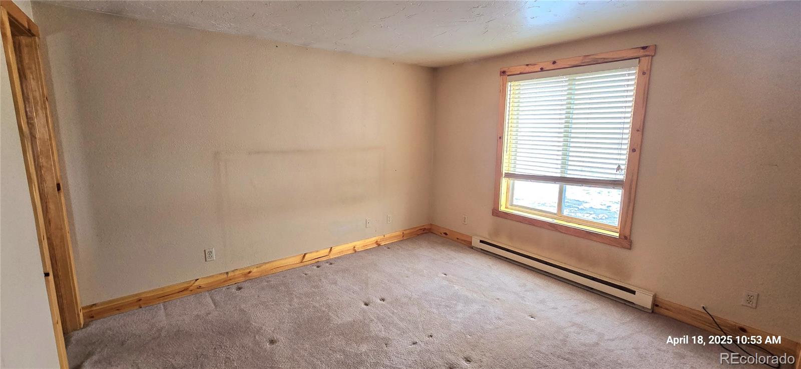 MLS Image #15 for 185  county road 1015 ,silverthorne, Colorado