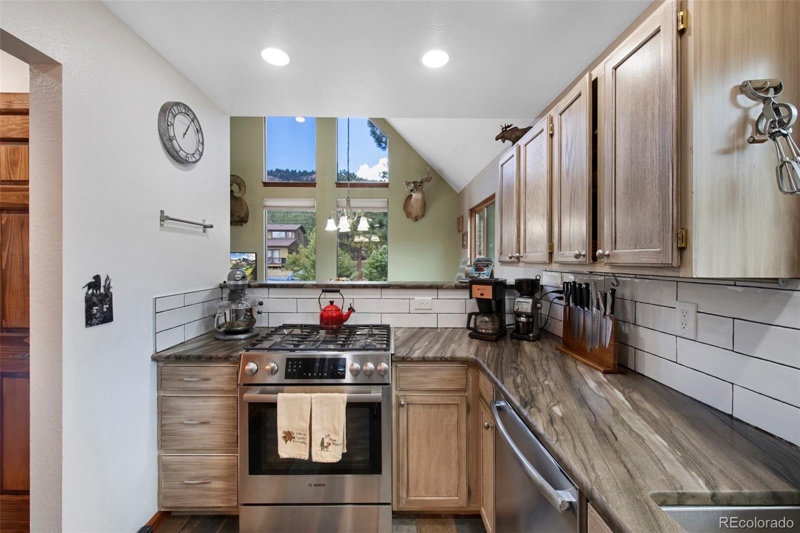 MLS Image #13 for 38  buttermilk lane,bailey, Colorado