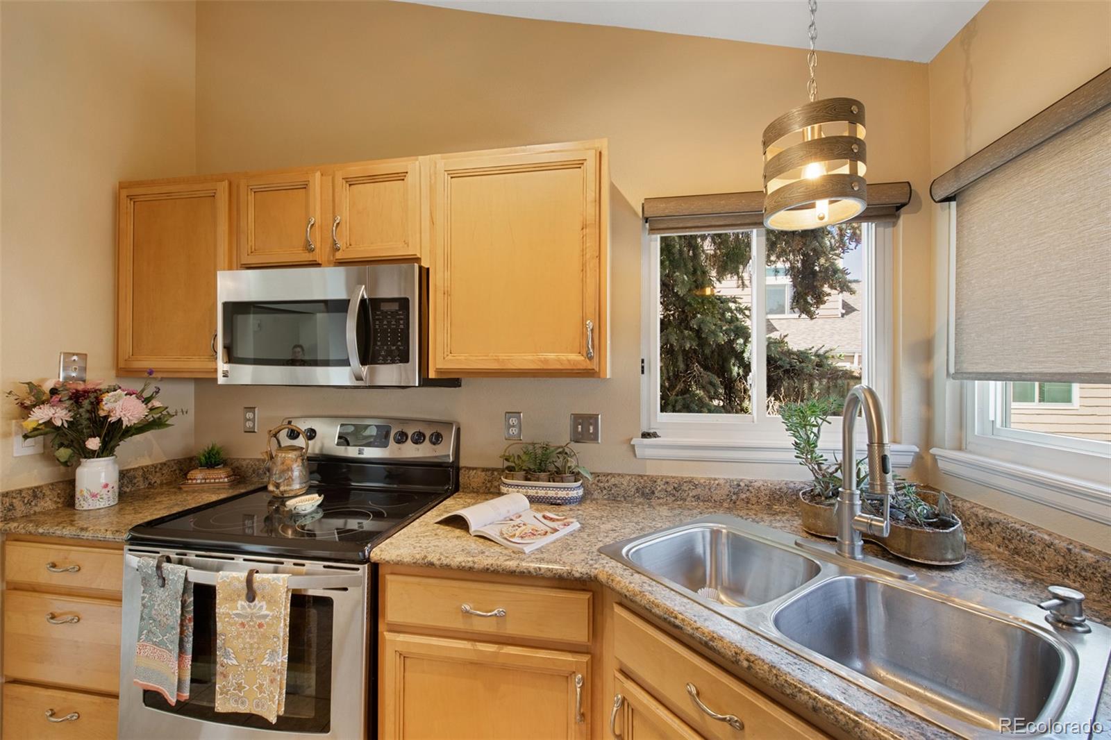 MLS Image #11 for 150  blue spruce court,highlands ranch, Colorado